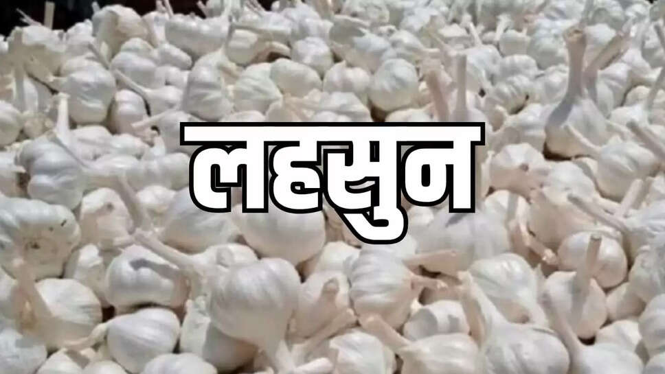  लहसुन 