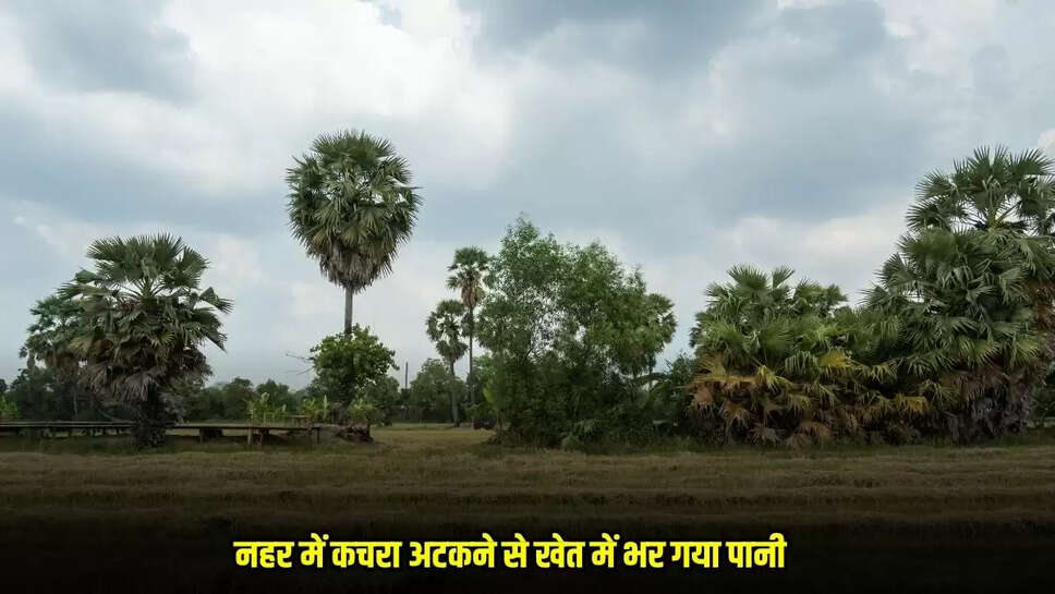 Barwani News
