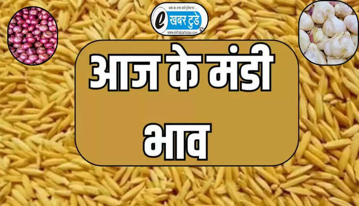 अनाज मंडी 