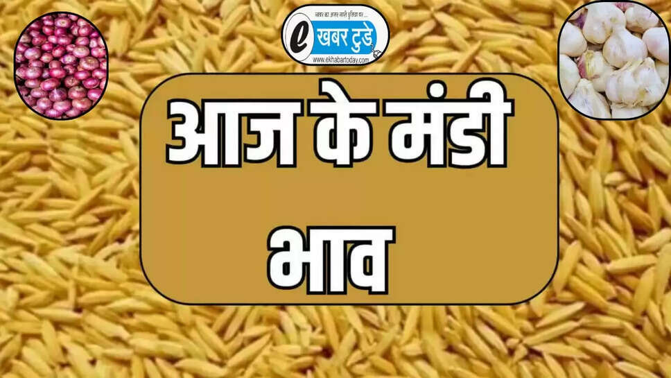 अनाज मंडी 