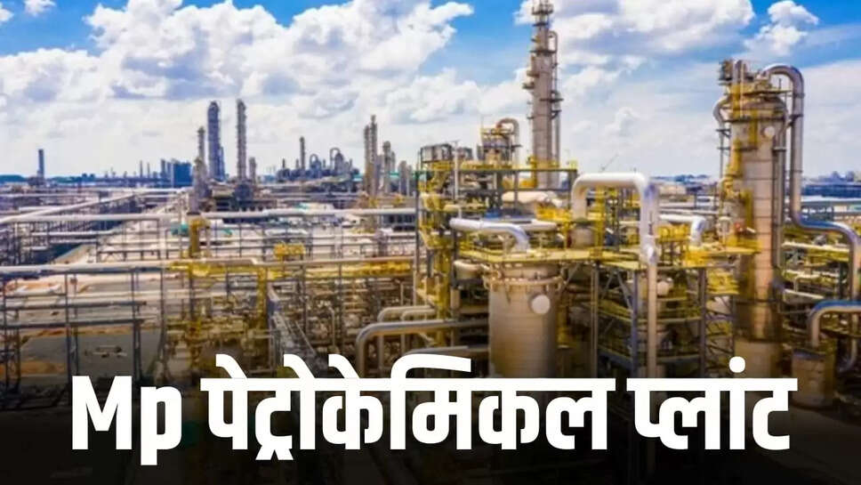  petrochemical plant 