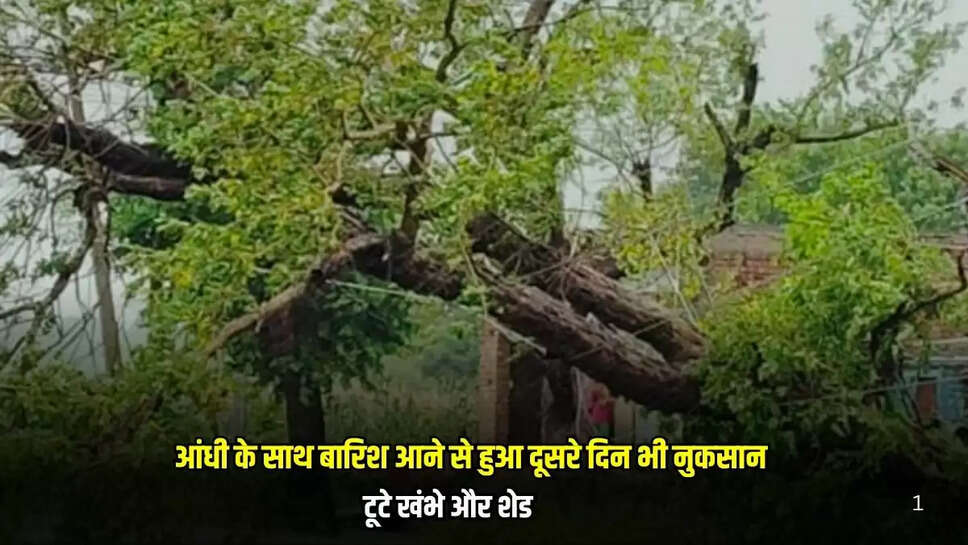 Mandsaur News