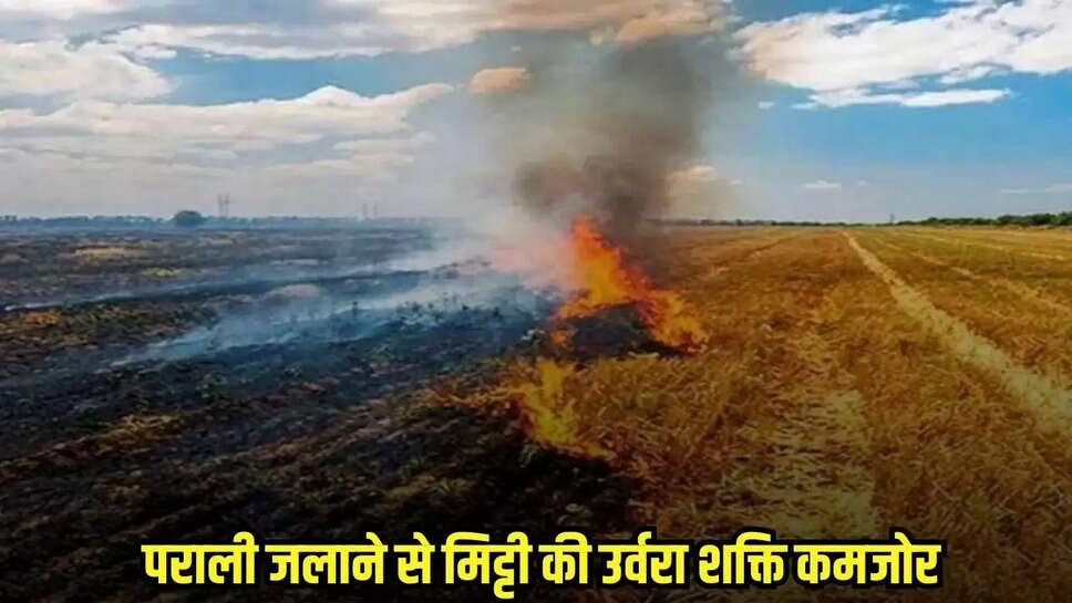 Shyokpur news, MP news,