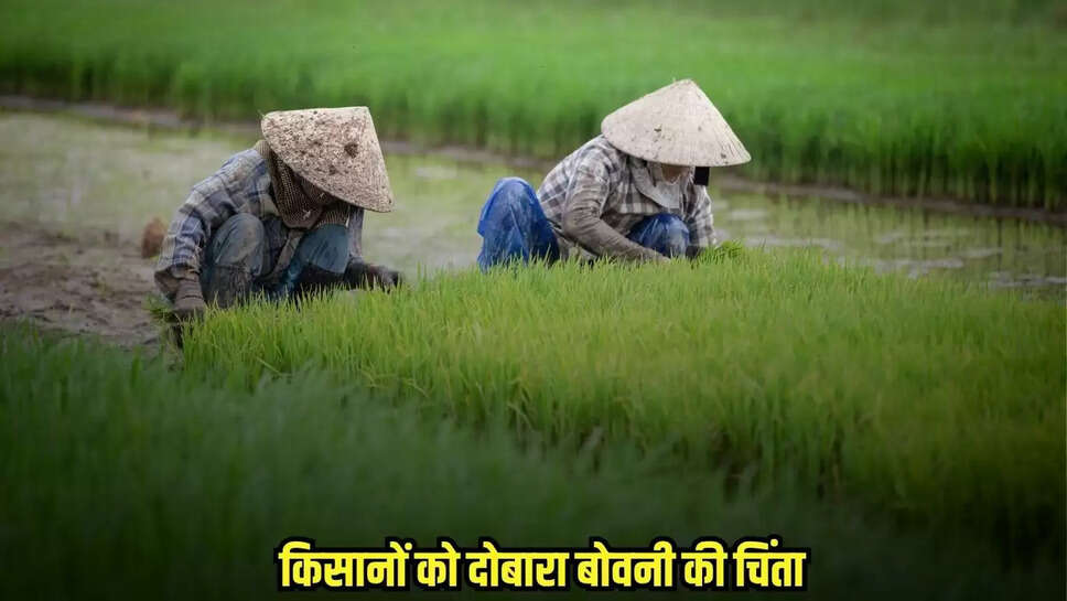Burhanpur News