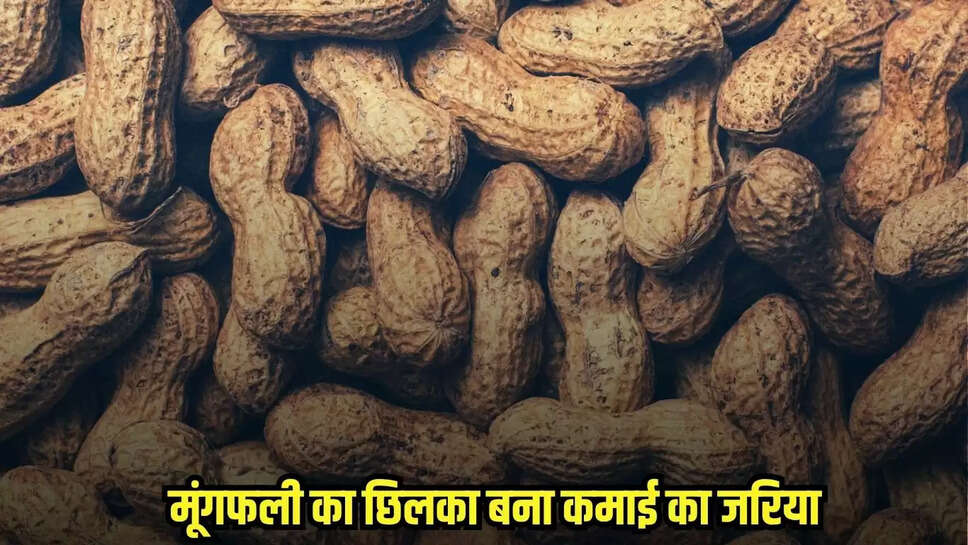 Chhatarpur News