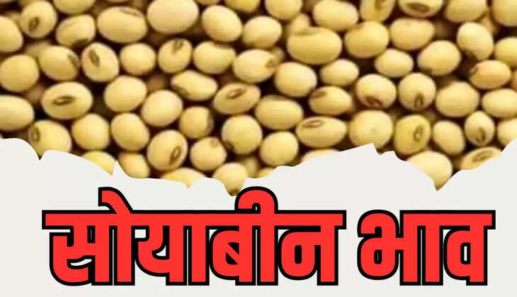 Soybean prices 
