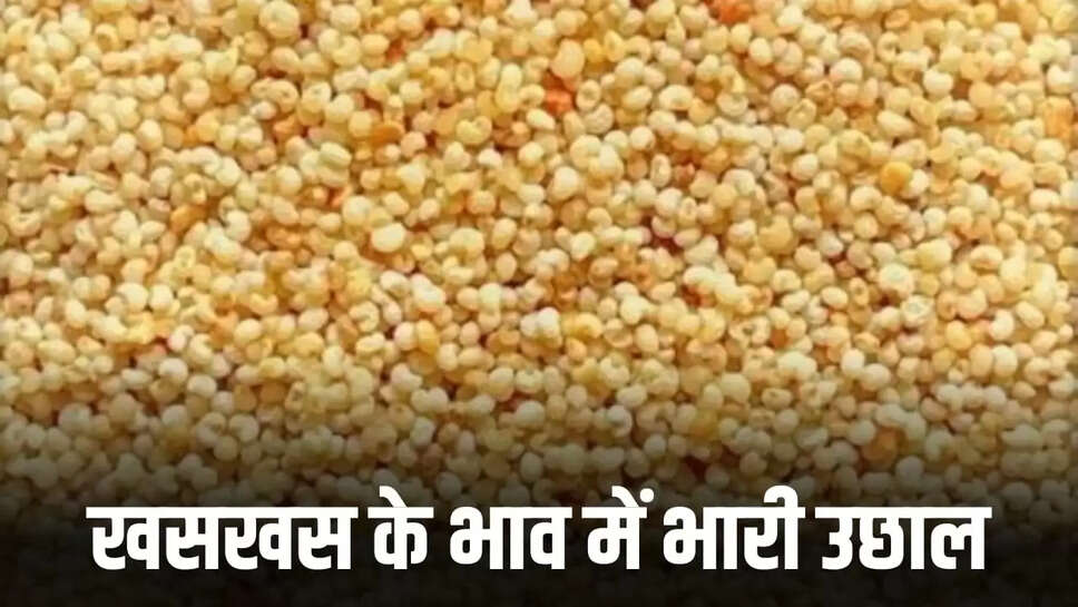 खसखस के भाव 