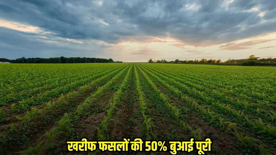 Bina News