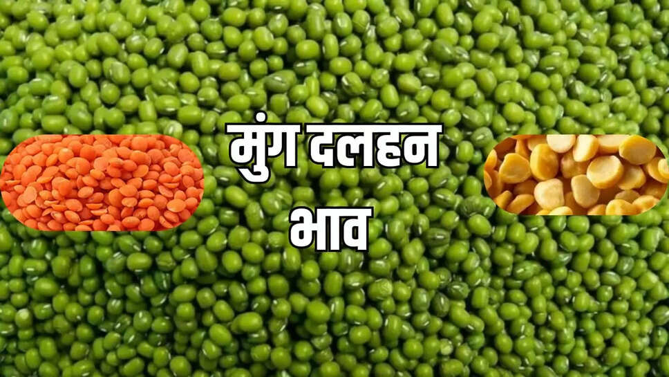 मूंग भाव