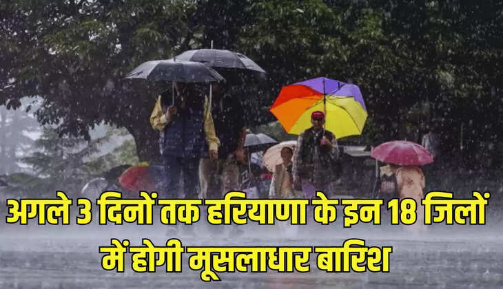 अगले 3 दिनों तक हरियाणा के इन 18 जिलों में होगी मूसलाधार बारिश