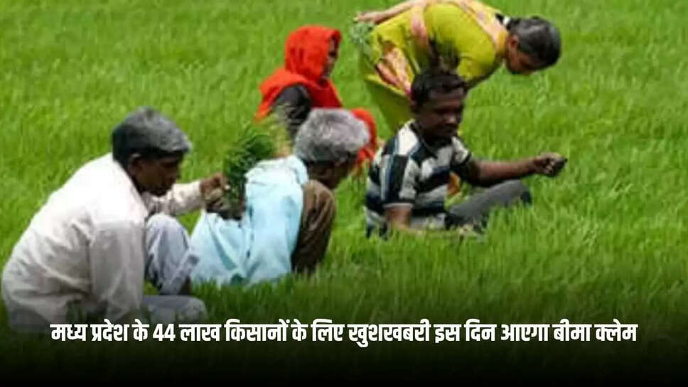 MP NEWS
