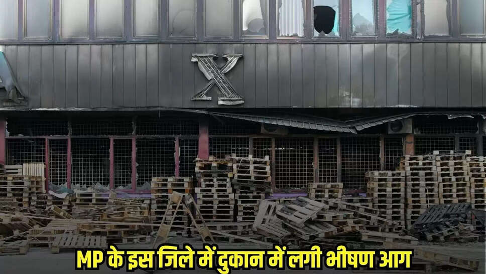 MP News