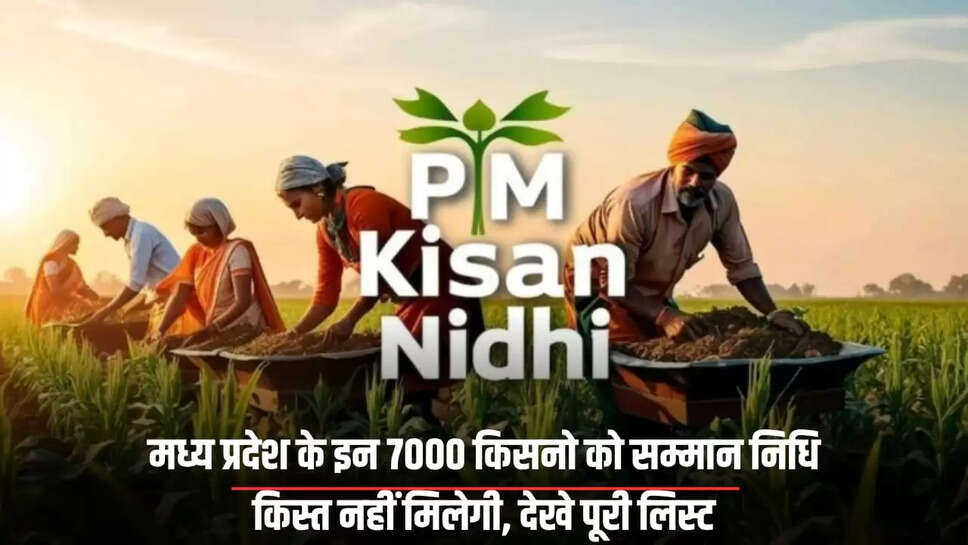 सम्मान निधि