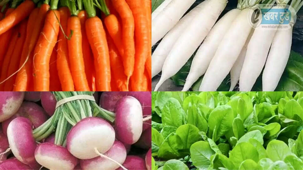 गाजर, मूली, शलजम