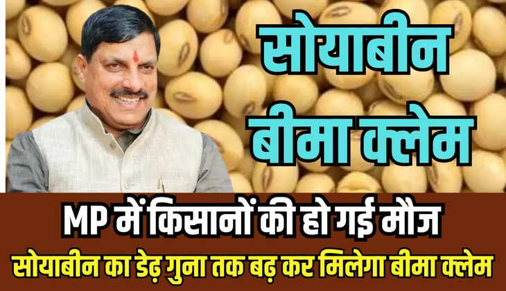  soybean insurance claim 