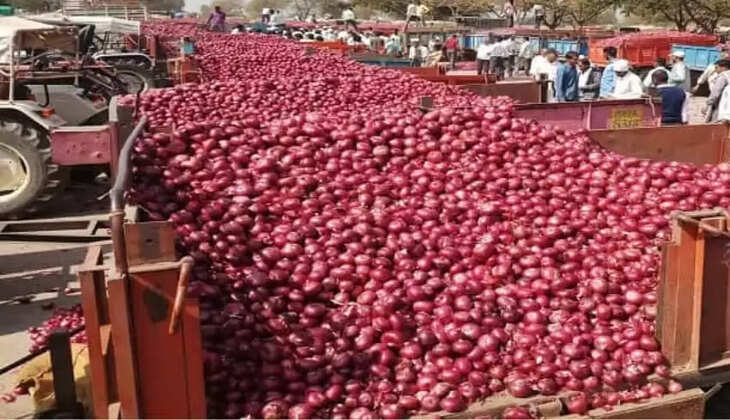 Onion Rate Update