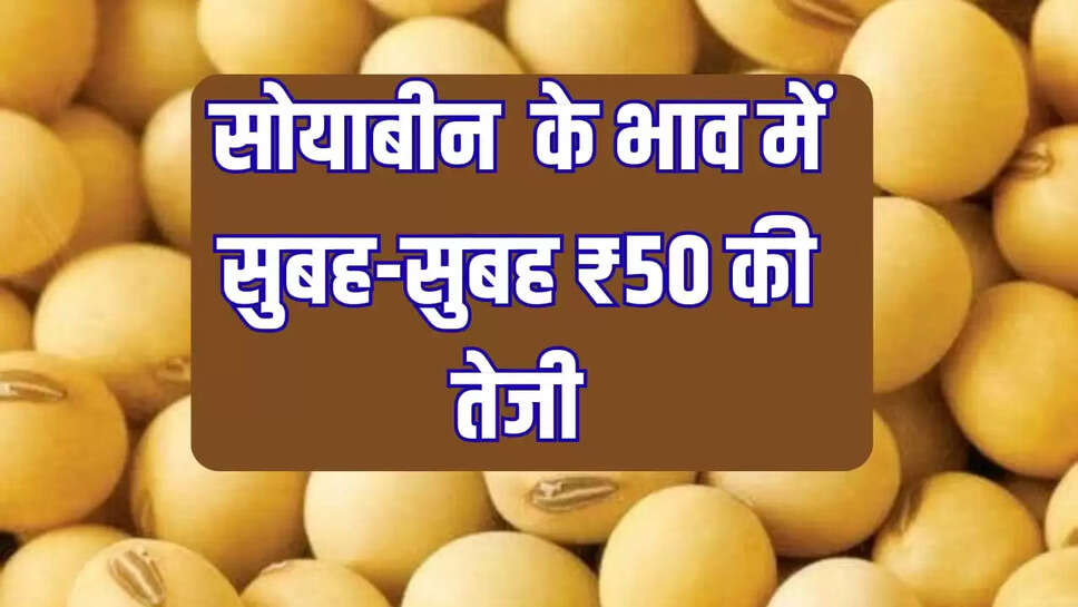 soybean prices 