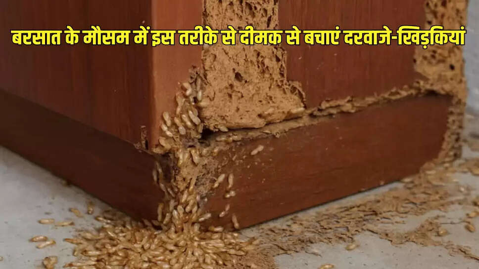 बरसात के मौसम में इस तरीके से दीमक से बचाएं दरवाजे-खिड़कियां