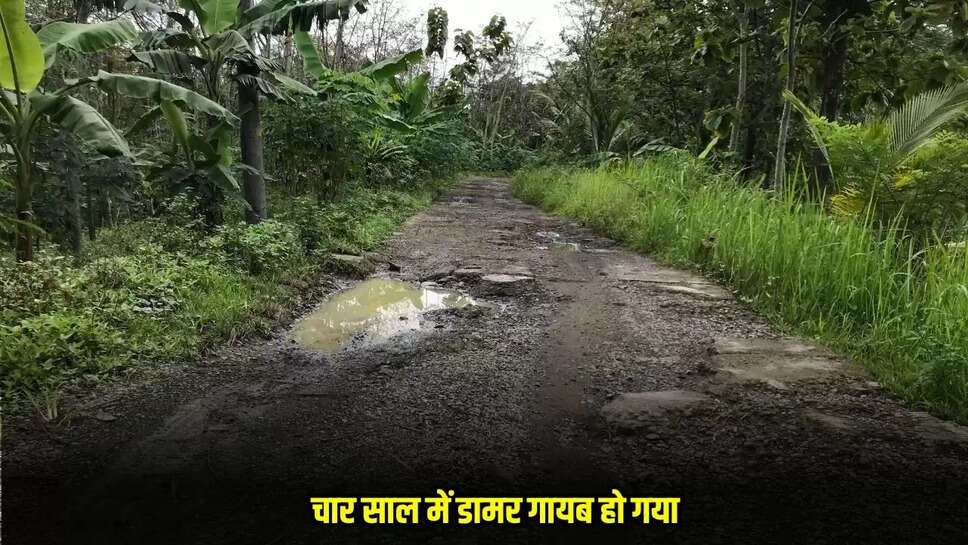 Damoh News