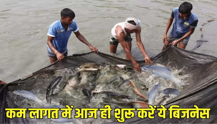 कम लागत में आज ही शुरू करें ये बिजनेस