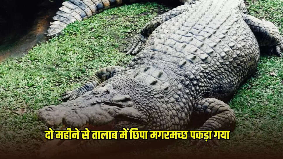 Damoh News