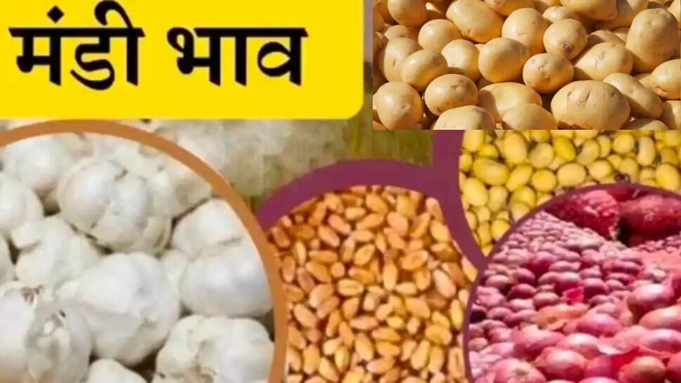 onion prices
