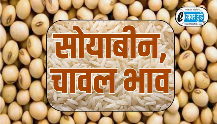 prices of soybean and rice