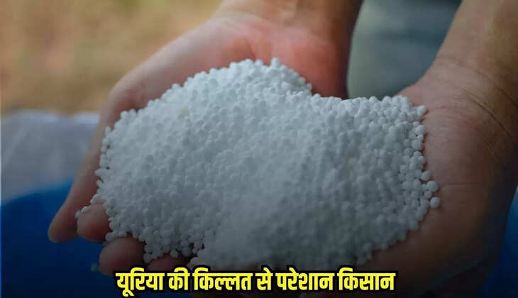 Burhanpur News