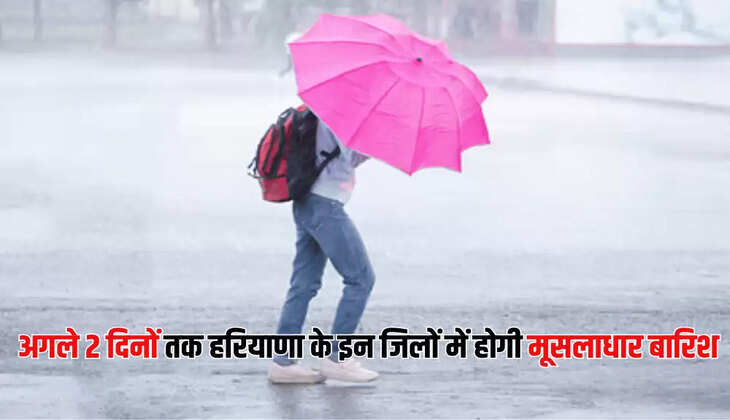 अगले 2 दिनों तक हरियाणा के इन जिलों में होगी मूसलाधार बारिश