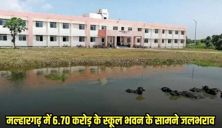 Mandsaur news, MP news,