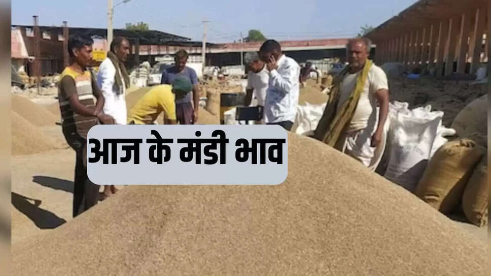 Today mandi bhav