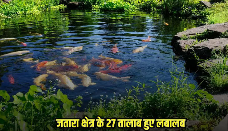 जतारा क्षेत्र के 27 तालाब हुए लबालब