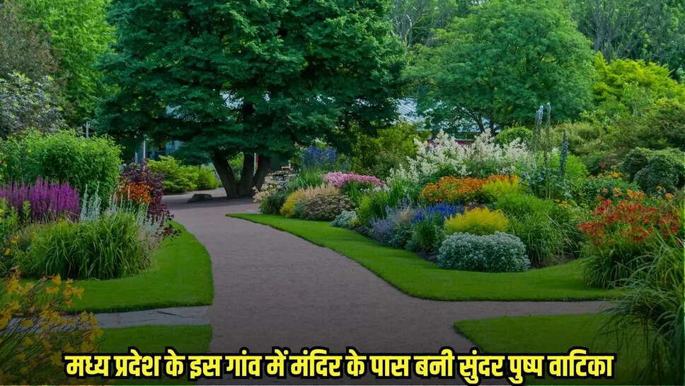 MP News