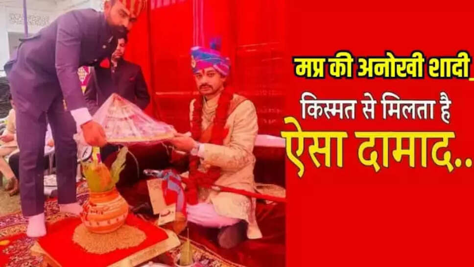  Madhya Pradesh news in Hindi