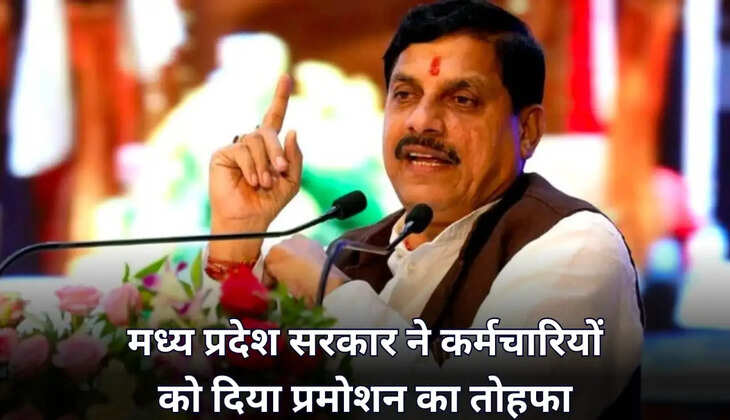 कर्मचारियों को प्रमोशन का तोहफा