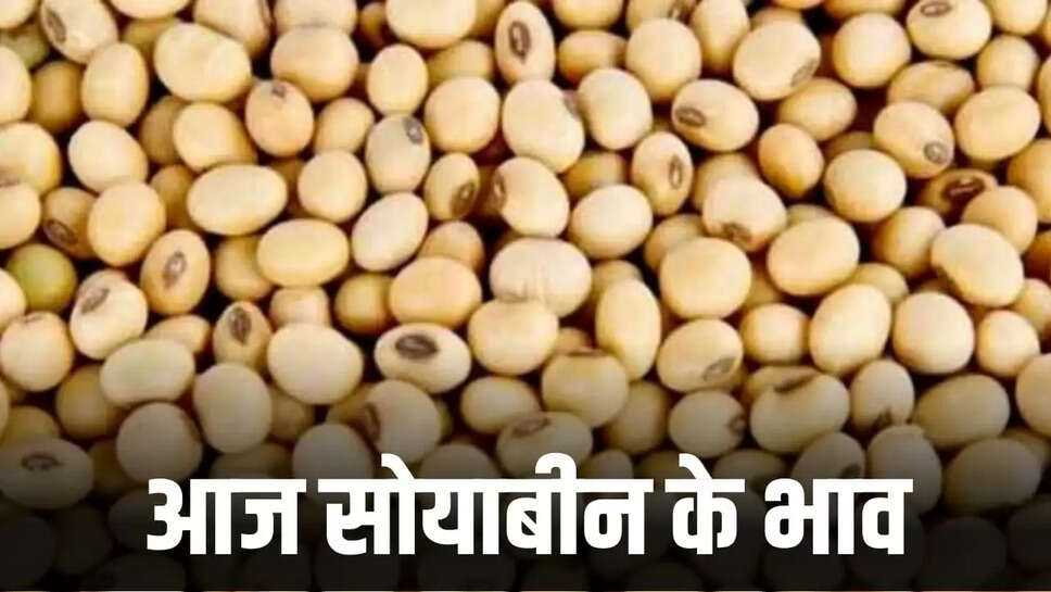 सोयाबीन