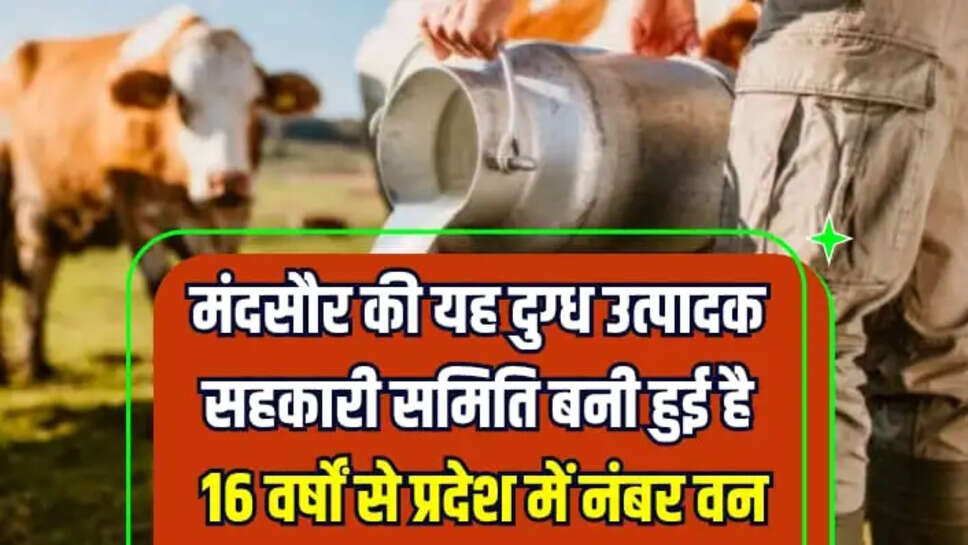 MANDSAUR NEWS