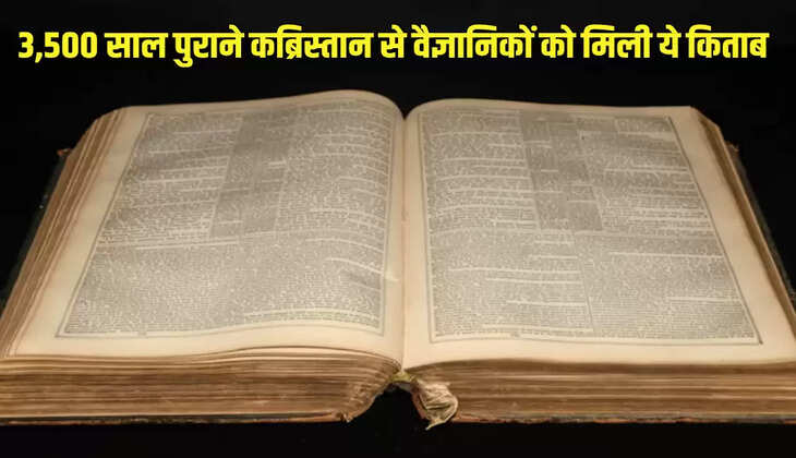 3,500 साल पुराने कब्रिस्तान से वैज्ञानिकों को मिली ये किताब