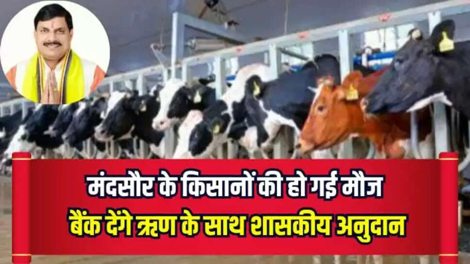 Kamdhenu Yojana