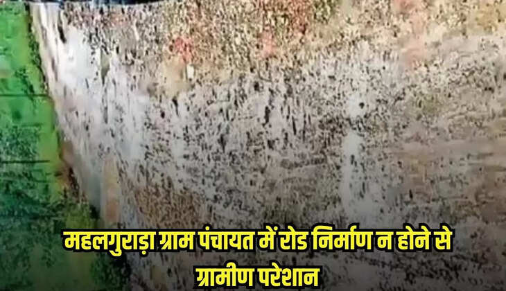 Burhanpur news, MP news,