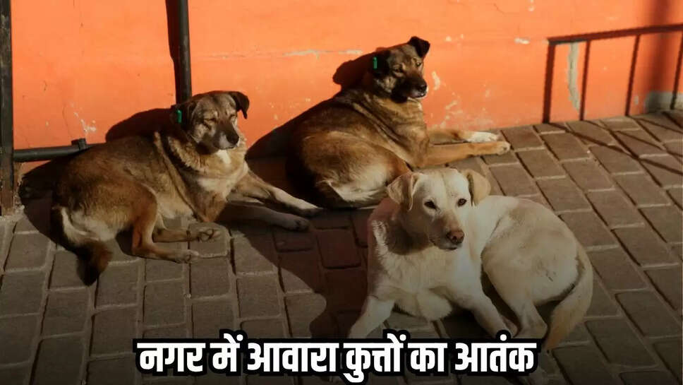 Chhatarpur News