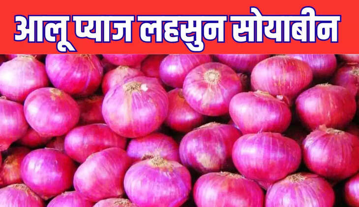  आलू प्याज लहसुन सहित सोयाबीन के ताजा भाव