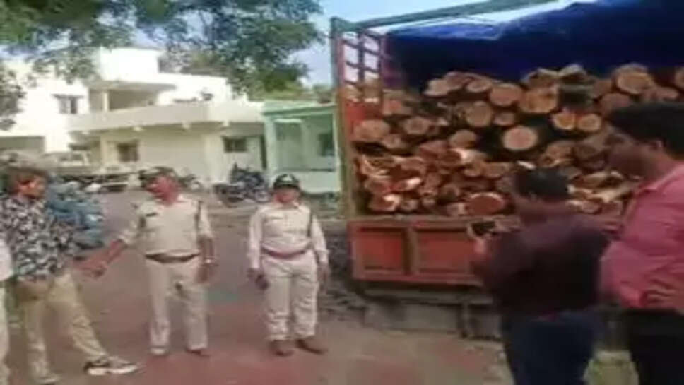 wood thief