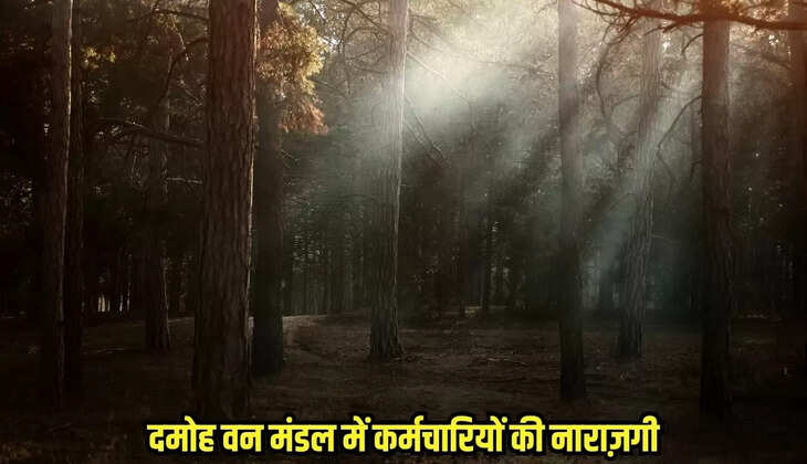 Damoh news, MP news,