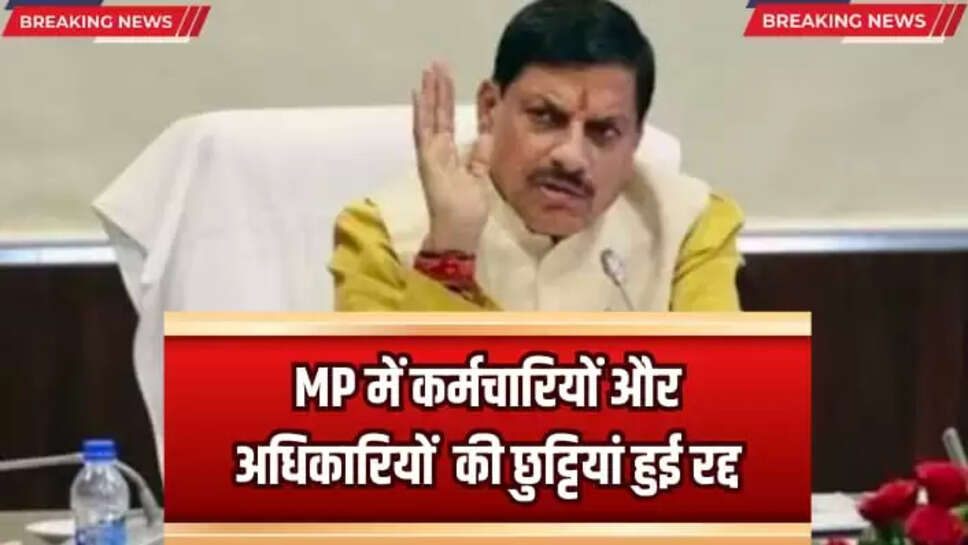 MP NEWS