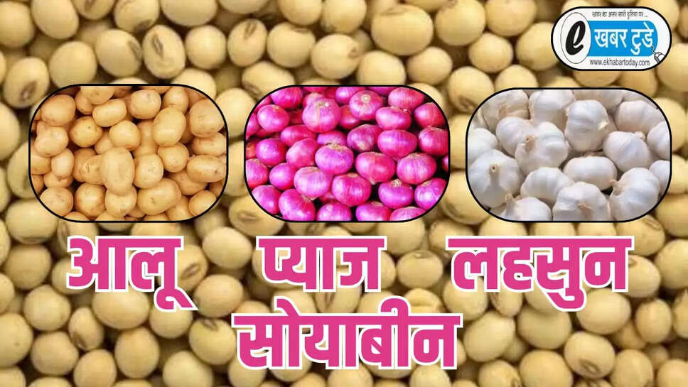 सोयाबीन, आलू, प्याज ,लहसुन 