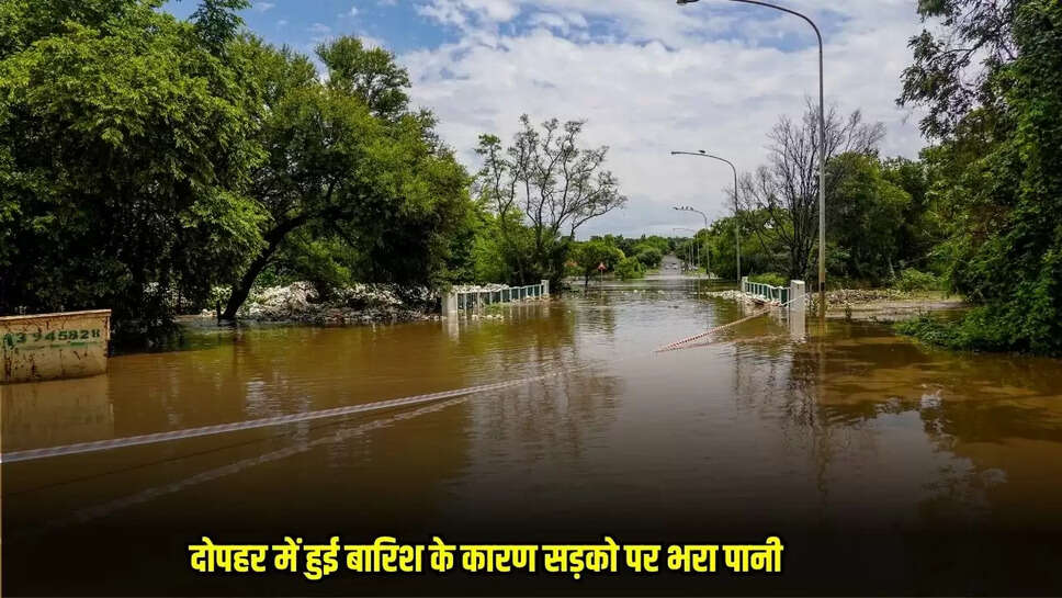 Bina News