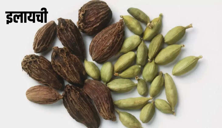 बड़ी इलायची