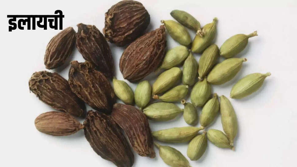 बड़ी इलायची