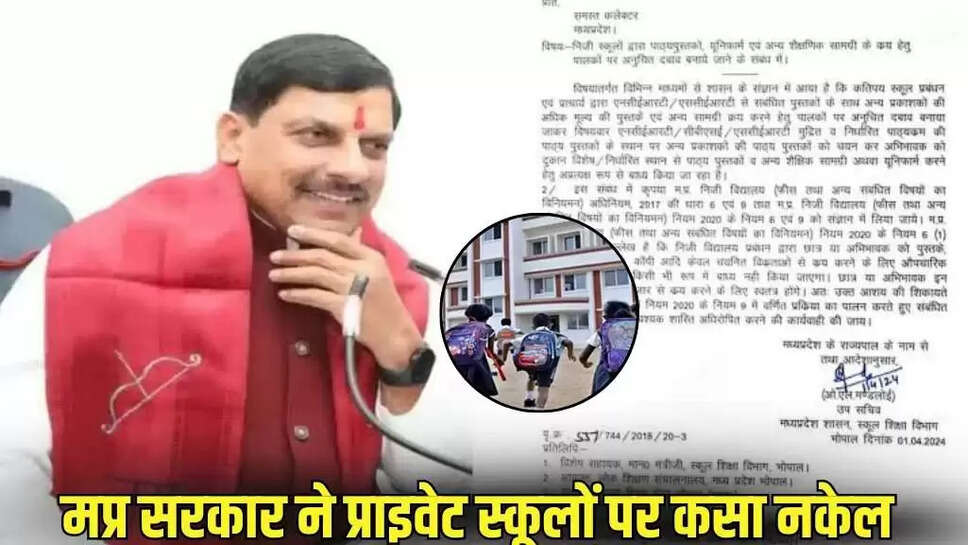 Mp news